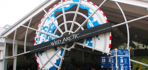 wild-arctic