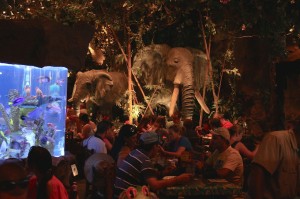 rainforest-cafe