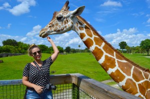 safari-busch-gardens