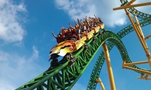 Cheetah hunt